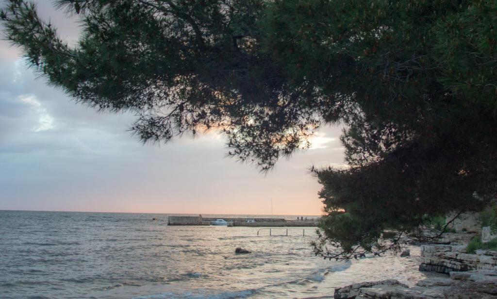 Apartments Villa Stapo Umag Zewnętrze zdjęcie
