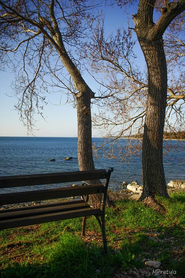 Apartments Villa Stapo Umag Zewnętrze zdjęcie